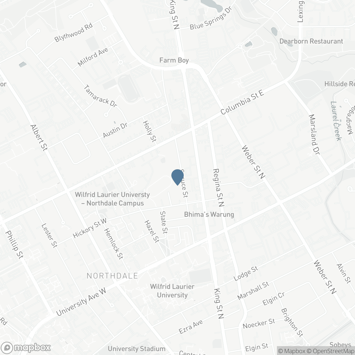 321 SPRUCE Street Unit# 312, Waterloo, Ontario N2L 0G4